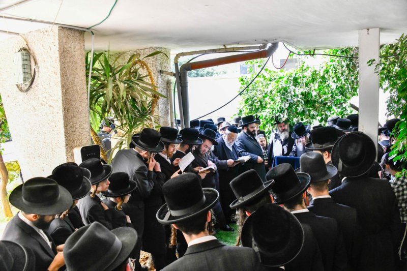 שוקי לרר