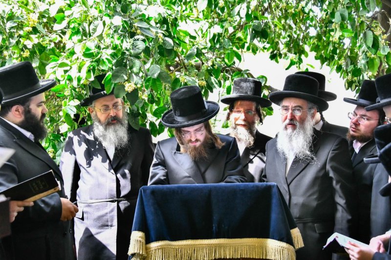 שוקי לרר