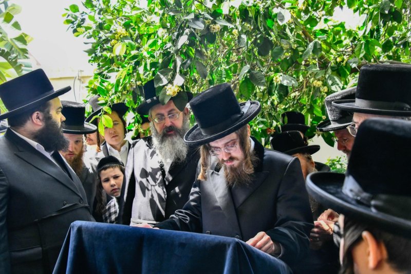 שוקי לרר