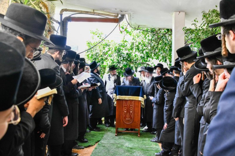 שוקי לרר