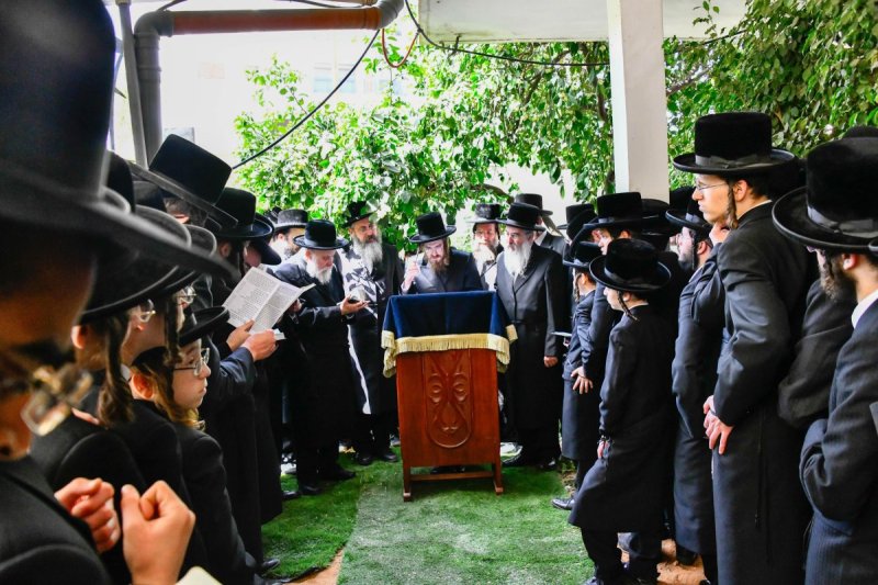 שוקי לרר