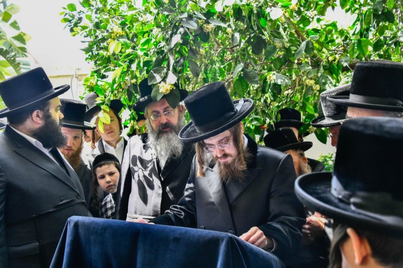 שוקי לרר