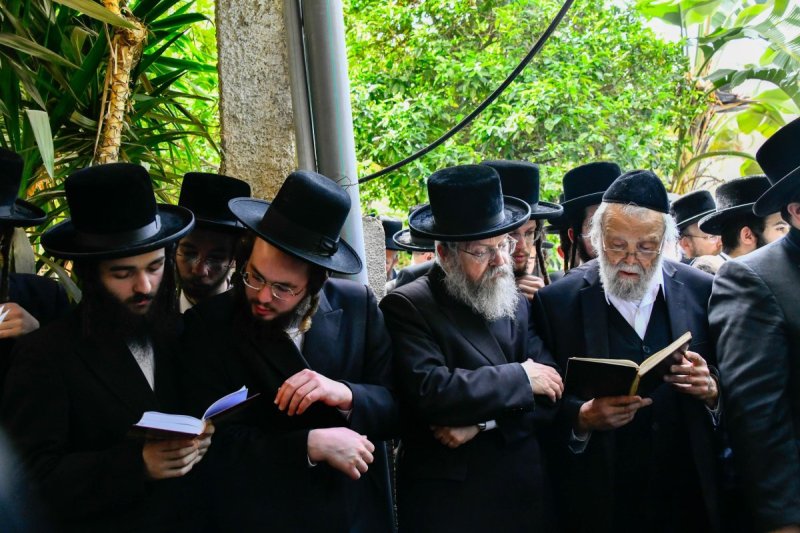 שוקי לרר