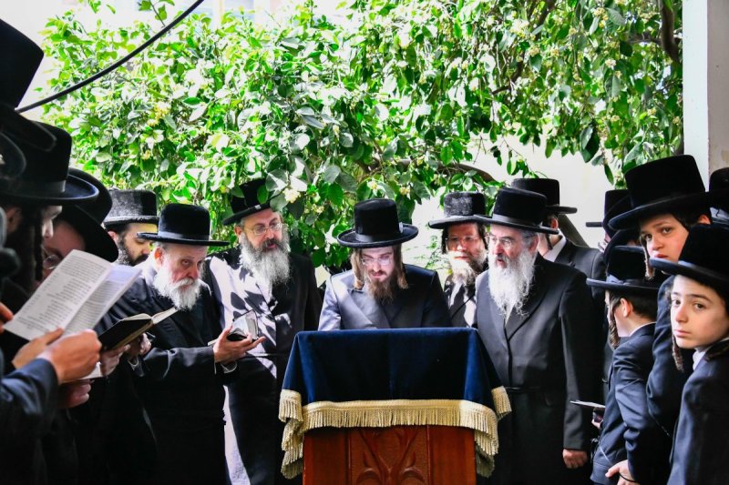שוקי לרר