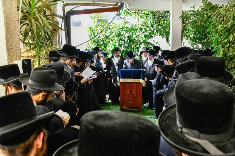 שוקי לרר