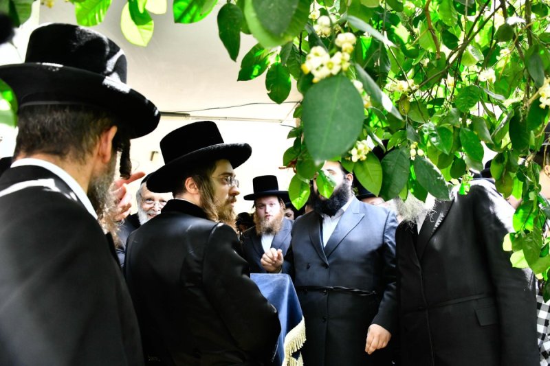 שוקי לרר