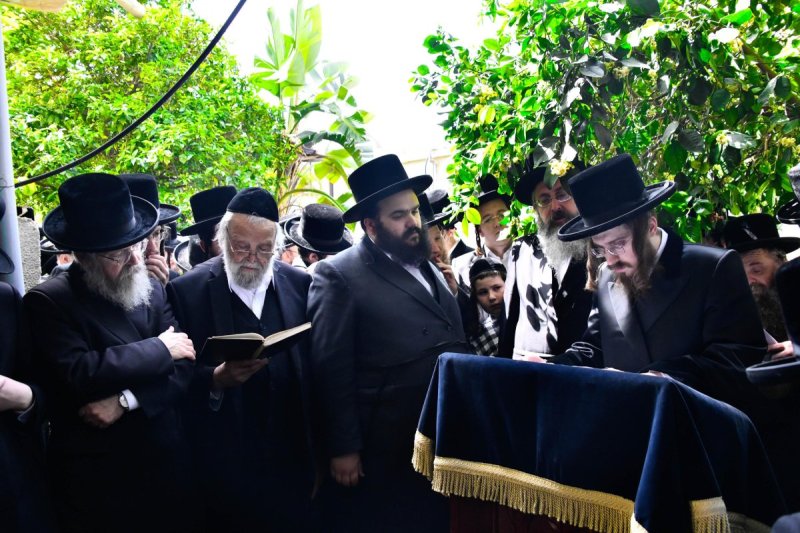 שוקי לרר