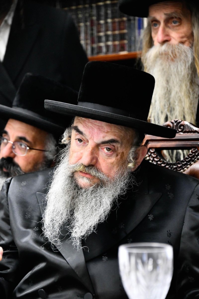 שוקי לרר
