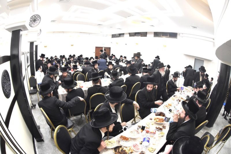 יהודה פרקוביץ