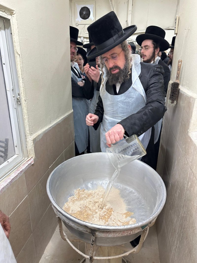 א. שטרן