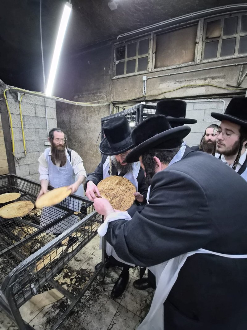 א. שטרן
