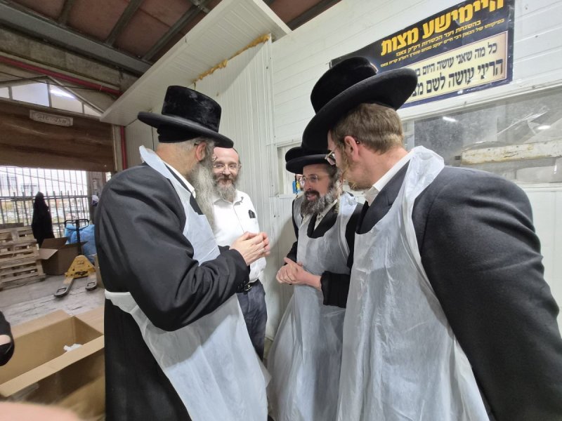 א. שטרן