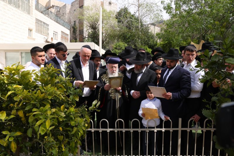 דוד ארזני