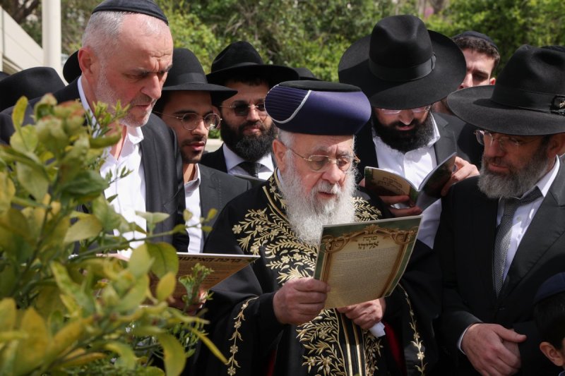דוד ארזני