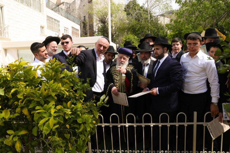 דוד ארזני