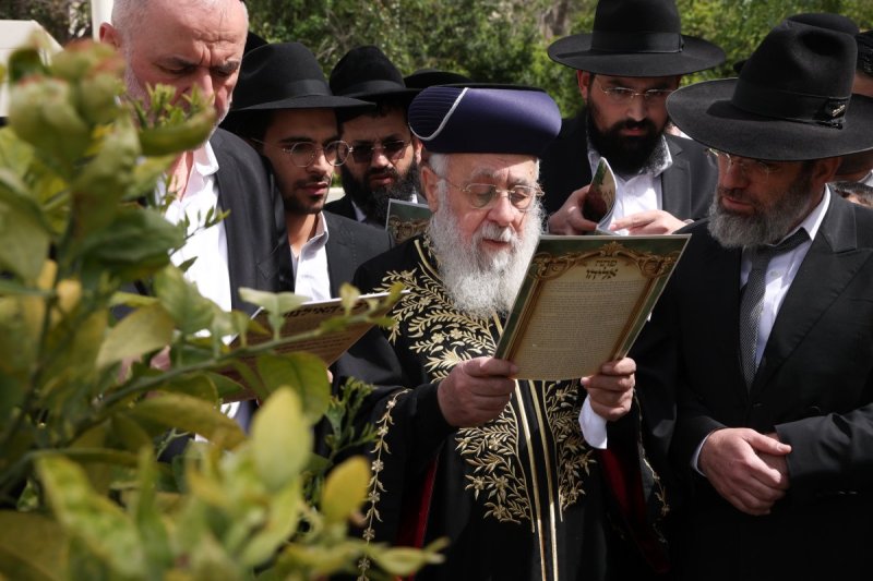 דוד ארזני