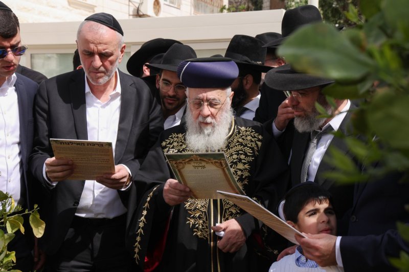 דוד ארזני