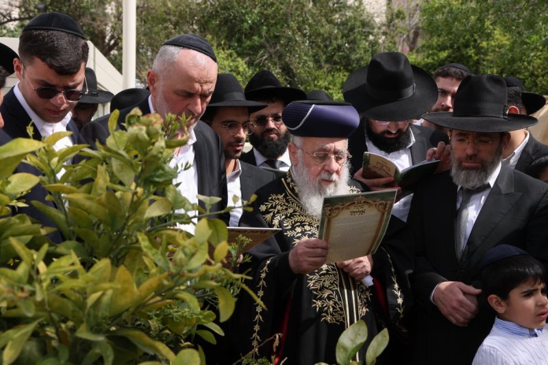 דוד ארזני