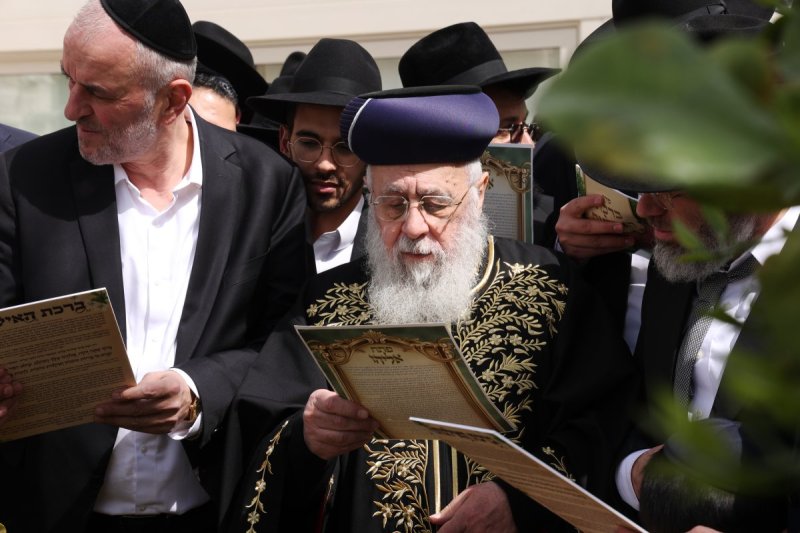 דוד ארזני