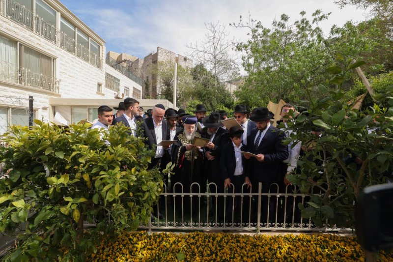 דוד ארזני