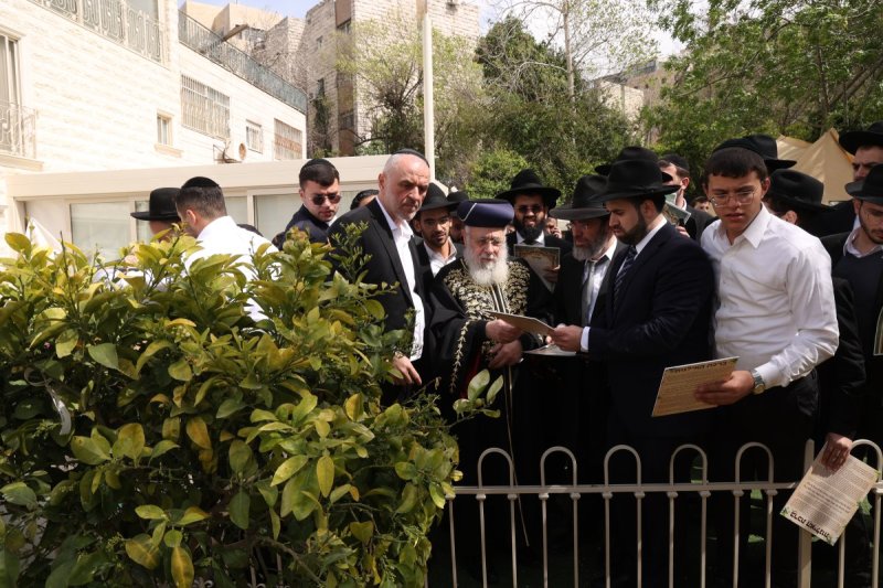 דוד ארזני