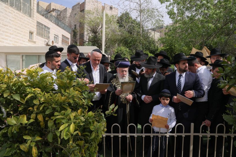 דוד ארזני