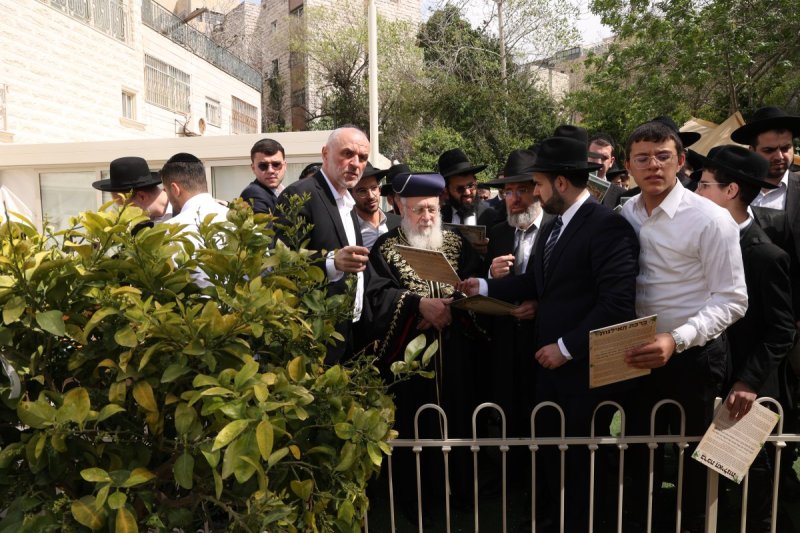 דוד ארזני
