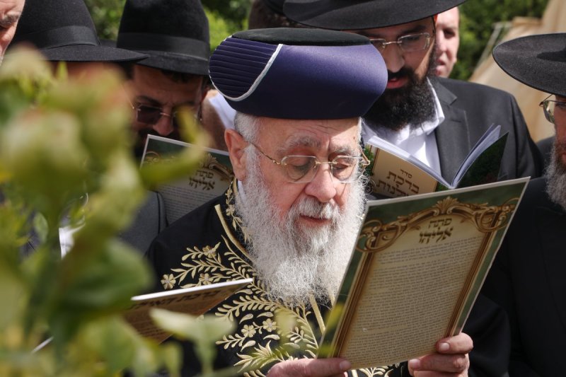 דוד ארזני