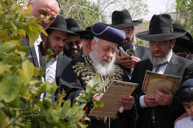 דוד ארזני