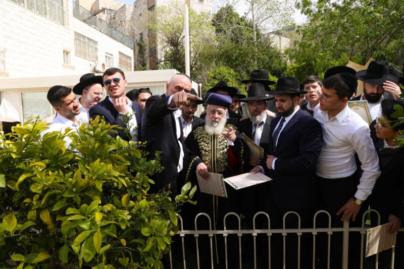 דוד ארזני
