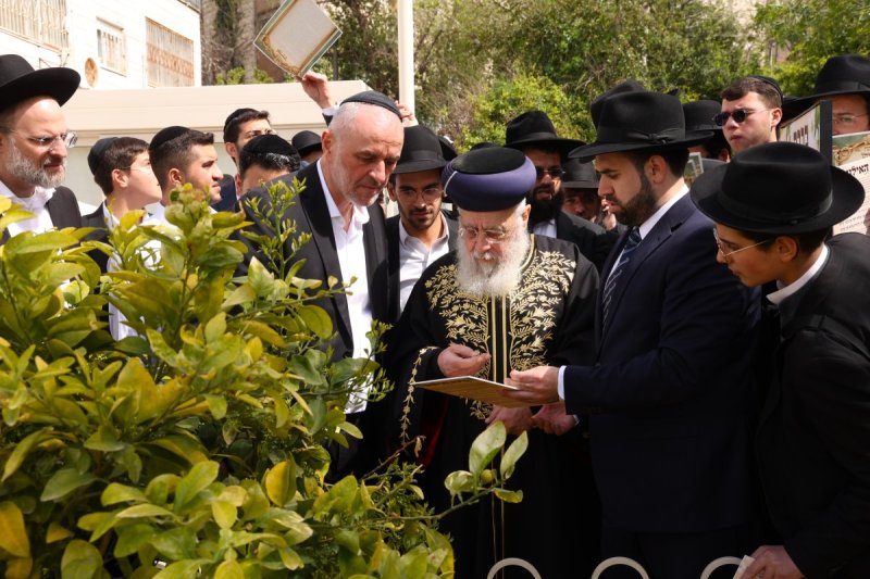 דוד ארזני