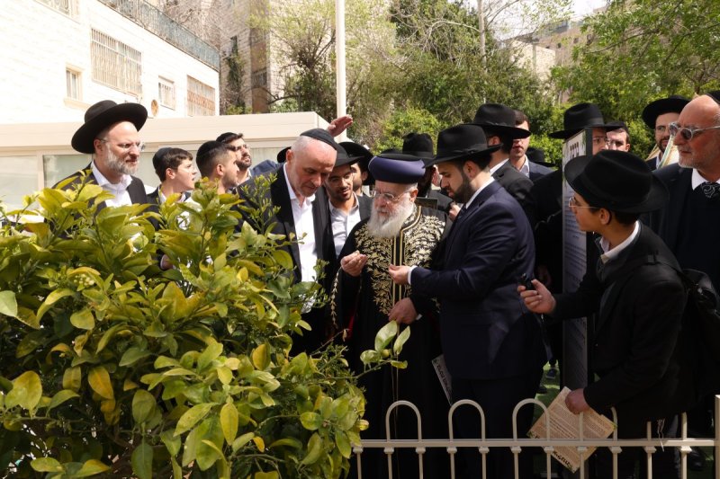 דוד ארזני