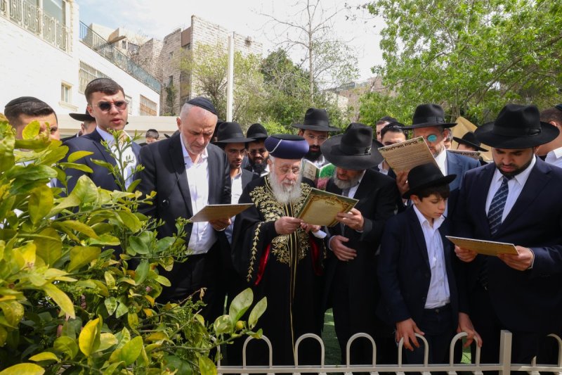 דוד ארזני