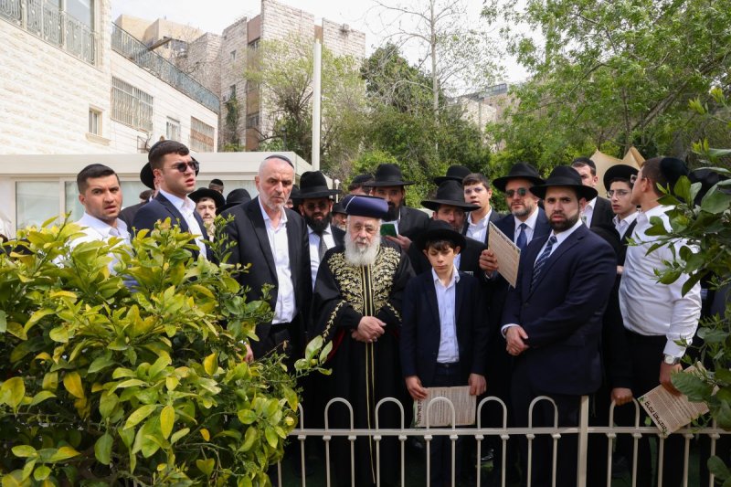 דוד ארזני
