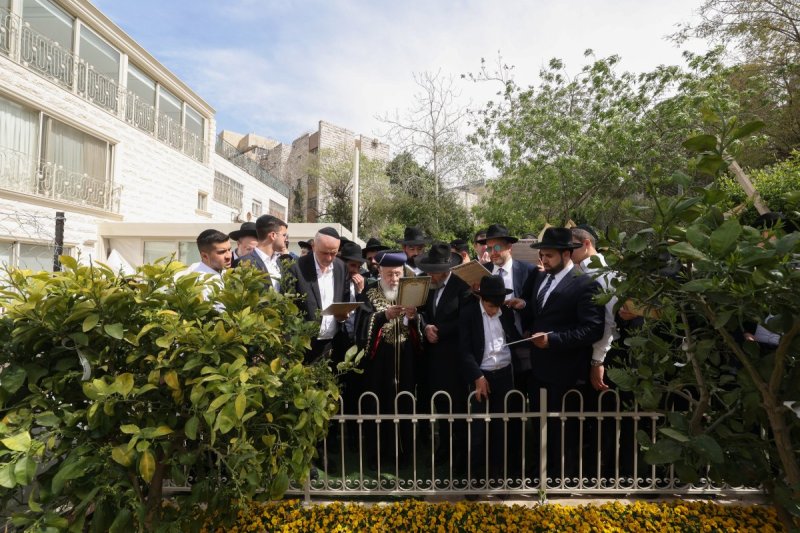 דוד ארזני