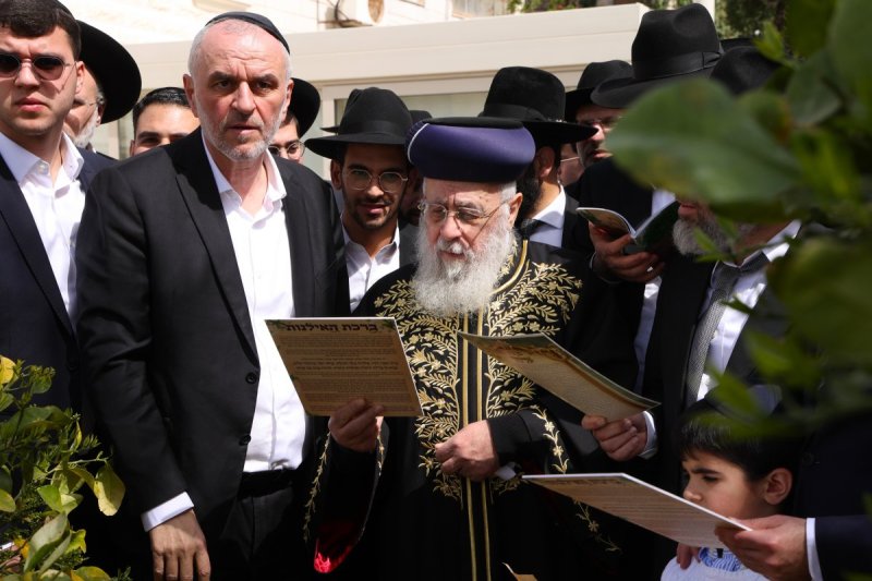 דוד ארזני