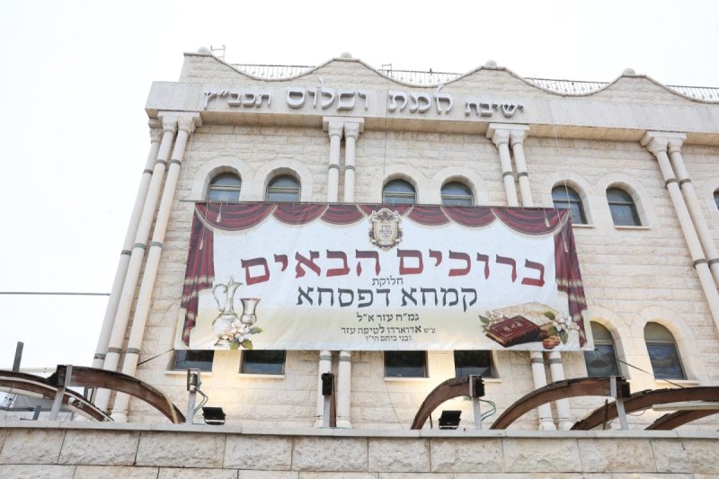 יעקב כהן