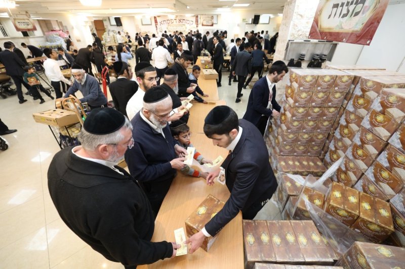 יעקב כהן