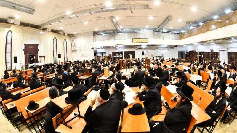 שוקי לרר