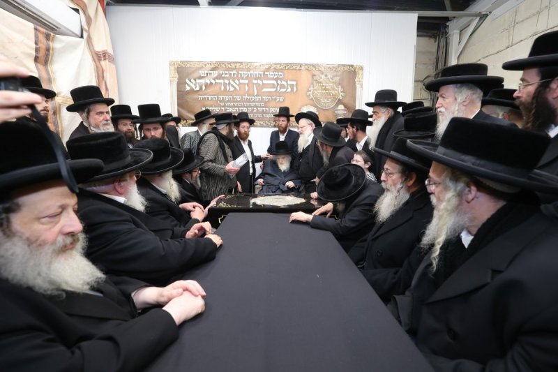 דוד ארזני