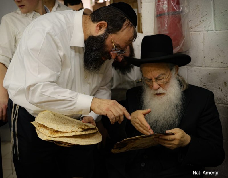 נתי אמרגי