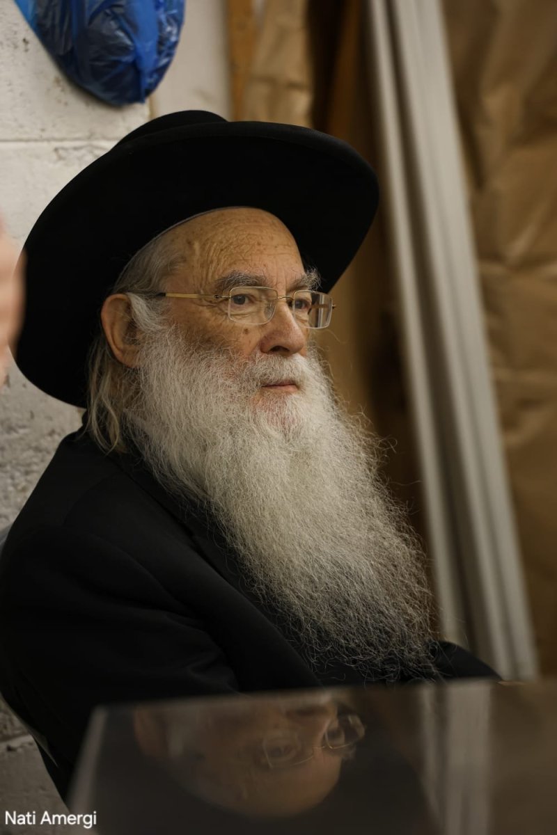 נתי אמרגי