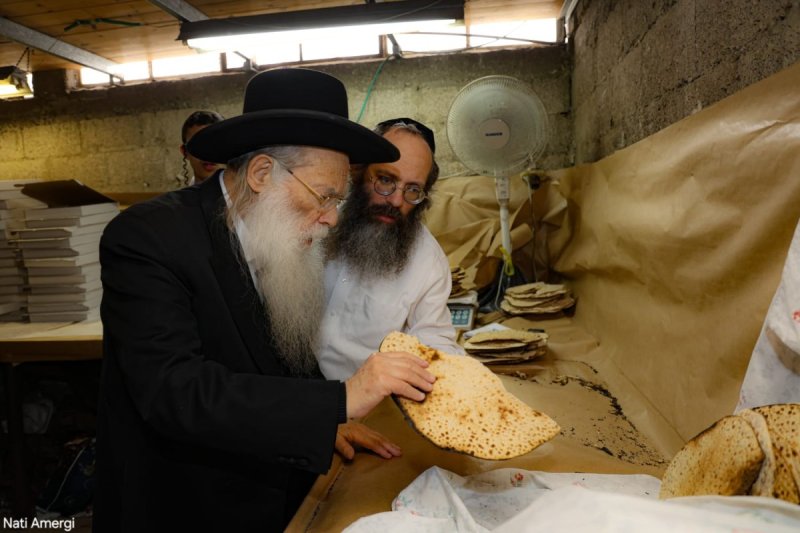 נתי אמרגי