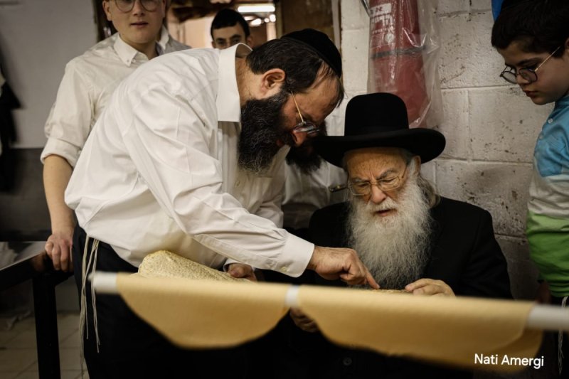 נתי אמרגי