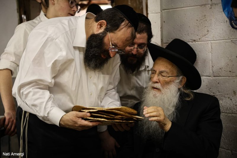 נתי אמרגי