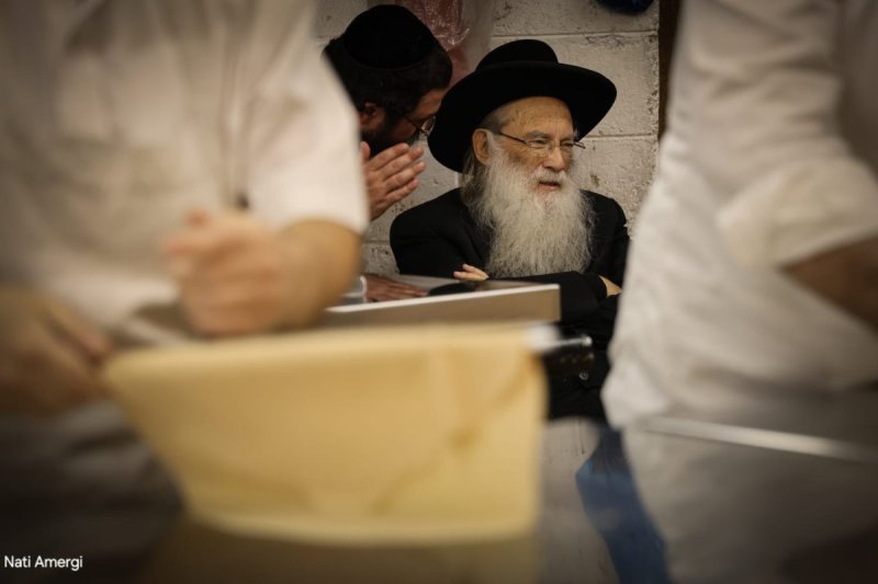 נתי אמרגי