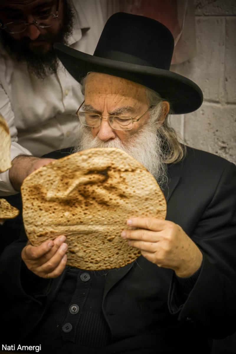 נתי אמרגי