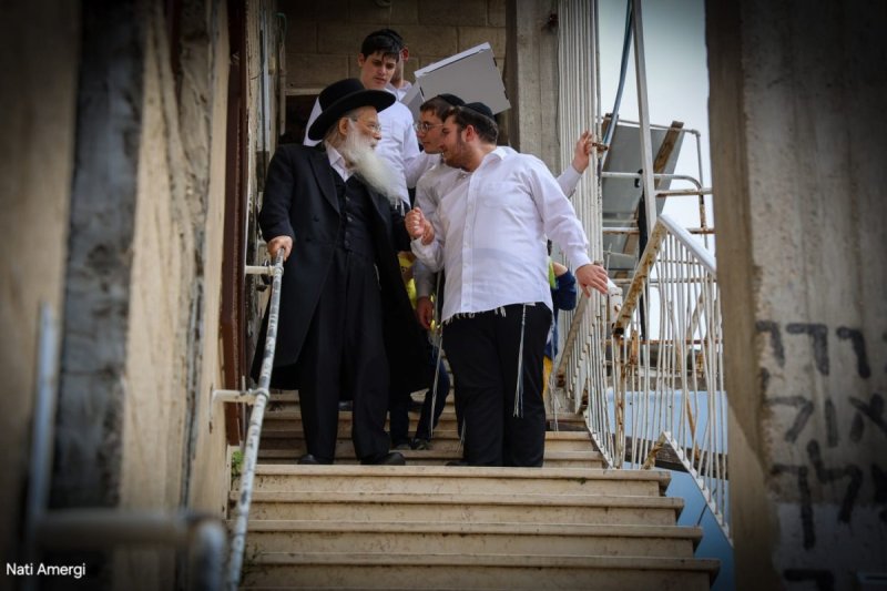 נתי אמרגי