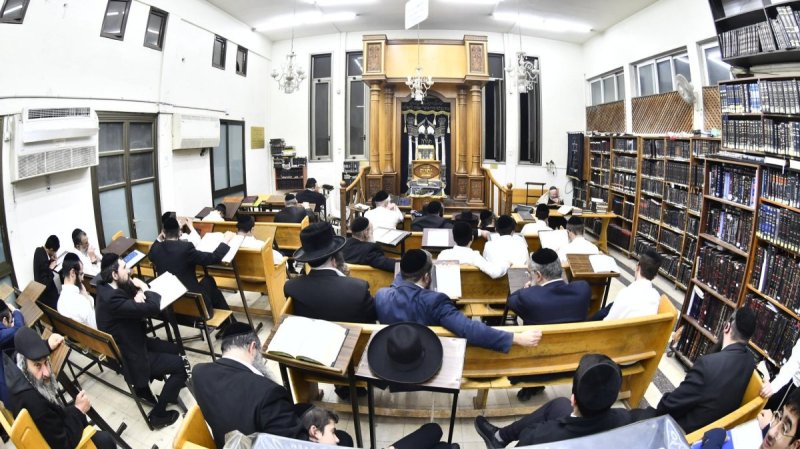 שוקי לרר