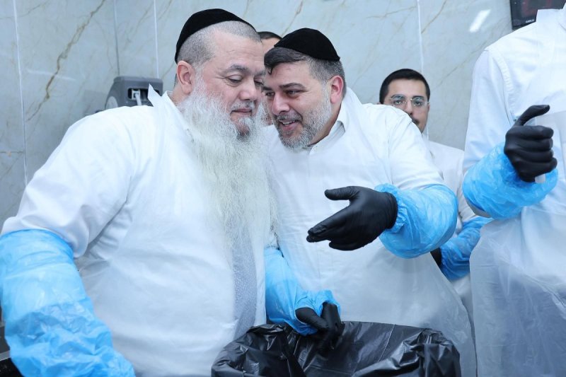 נועם אליהו